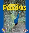 Colorful Peacocks (Pull Ahead Books)