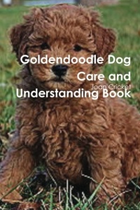 Goldendoodle Dog Care and Understanding Book