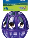 PetSafe Premier Busy Buddy Kibble Nibble Dog Toy