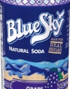 Blue Sky Grape,  12-Ounce Cans (Pack of 24)