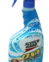 Scotchgard Oxy Pet Stain Carpet Cleaner,  22 Ounces