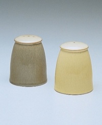 Warm, natural colors and a retro feel combine in this unique alternative to a basic salt shaker. From Denby's dinnerware and dishes collection. Salt pot shown right.