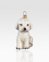 A charming addition to every dog-lover's holiday, carefully handcrafted in delicate Pyrex glass, then handpainted with beautiful, one-of-a-kind detail. Handpainted glass Each ornament takes 7-10 days to complete Arrives in gift box ideal for giving or storing 1½W X 3H X 2D Handmade in Poland 