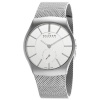 Skagen Men's 916XLSSS Steel Sandblasted Silver Watch