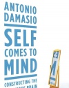 Self Comes to Mind: Constructing the Conscious Brain