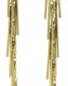 Fiona Paxton Tribal Goddess Toronto Chain Earrings