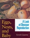 Eggs, Nests, and Baby Dinosaurs: A Look at Dinosaur Reproduction (Life of the Past)