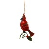 Jim Shore Heartwood Creek Cardinal Sitting on Holly Branch Hanging Ornament, 4-1/2 Inches