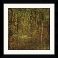 Fog in Mountain Trees Framed Art Print by John W. Golden