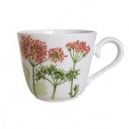 Villeroy & Boch Althea Nova Tea Cup