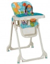 Fisher-Price Precious Planet Sky Blue High Chair