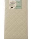 L A Baby Coconut 240 Coil Inner Spring Crib Mattress, Gold