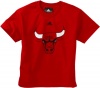 NBA Chicago Bulls Youth 8-20 Short Sleeve T-Shirt Team Logo, Large, Red