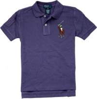 Polo Ralph Lauren Toddler Boys's Multicolor Big Pony Polo (5, Juneberry Purple)