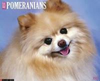 Pomeranians 2013 Wall Calendar (Just (Willow Creek))