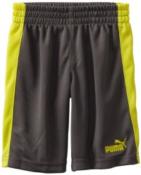 Puma - Kids Boys 2-7 Little Mesh 7 Cm Short, Grey, 7