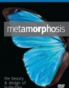 Metamorphosis: The Beauty and Design of Butterflies