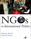 NGOs in International Politics