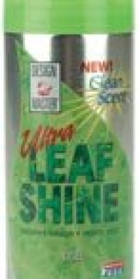 Design Master Ultra Leaf Shine Spray 6 Oz.