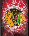 NHL Chicago Blackhawks Iphone 4 or 4s Hard Cover Case