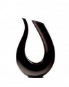 Riedel Black Amadeo Decanter