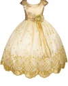 AMJ Dresses Inc Gold Princess Flower Girl Wedding Dress Sizes Baby to 16