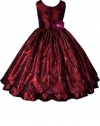 AMJ Dresses Inc Burgundy Fairy Flower Girl Holiday Dress Size 8