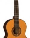 Alvarez RC210 Regent Series Classical Guitar, Natural