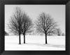 Silhouettes Of Winter I by Ilona Wellmann Framed Fine Art Print