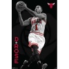 (22x34) Derrick Rose - Chicago Bulls Basketball Poster