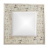 Howard Elliott 14233 Bonnie Mirror