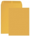 Columbian CO645 6x9-Inch Catalog Brown Kraft Envelopes, 500 Count