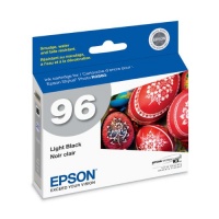 Epson T096720 Stylus Photo R2880 Printer UltraChrome K3 Ink Cartridge (Light Black)