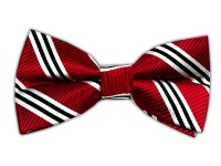 100% Silk Woven Red Striped Self-Tie Bow Tie