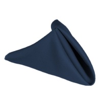 17 in. Polyester Napkins (1dz) Navy Blue