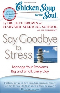 Chicken Soup for the Soul: Say Goodbye to Stress: Manage Your Problems, Big and Small, Every Day (Chicken Soup for the Soul (Quality Paper))