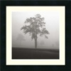 Fog Tree Study I Framed Wall Art by Jamie Cook - 16W x 16H in.