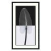 Calla Leaf I Framed Wall Art by Steven N. Meyers - 17.02W x 29.02H in. Color - Black and White