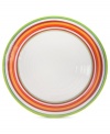 A brilliant line up. Calypso dinner plates brighten every day with hand-painted bands of tropical color in easy-care earthenware. From Clay Art.