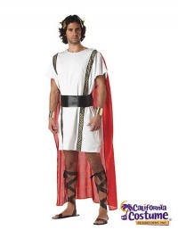 Original Adult Toga/ Mark Anthony Costume