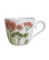 A natural for casual dining, the Althea Nova teacup by Villeroy & Boch features durable porcelain planted with delicate herbs for a look that's fresh from the garden.