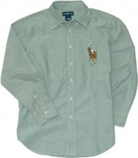 Polo Ralph Lauren Boy's Blake Big Pony Oxford (Medium (10-12), Slate Green)