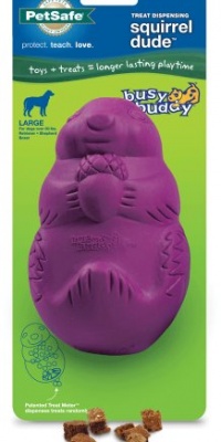 PetSafe Premier Squirrel Dude Dog Toy, Large