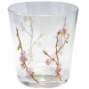 Corelle Coordinates Cherry Blossom 14-Ounce Acrylic Glass, Set of 6