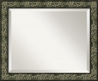 Green Provencal Scroll Medium Mirror in Antique Dark Bronze Rococo