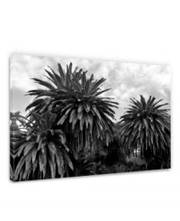 From sunny Malibu to your bedroom wall, these lush, low-lying palms inspire laid-back living in any location. A black-and-white canvas print with a gallery-wrap finish gives the landscape professional polish.