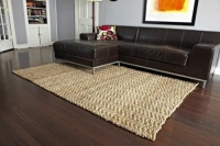 Kashmir Coir and Jute Rug (60 in. L x 36 in. W)