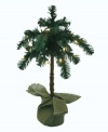 Have a white-hot Christmas. Decorated with clear lights, this palm-inspired tree from Kurt Adler is a fun twist on the traditional pine or fir. Cute for warm climates.