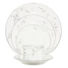 Noritake Birchwood 5-piece Place Setting