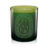 Diptyque Figuier Verte Candle Colored Glass Candle